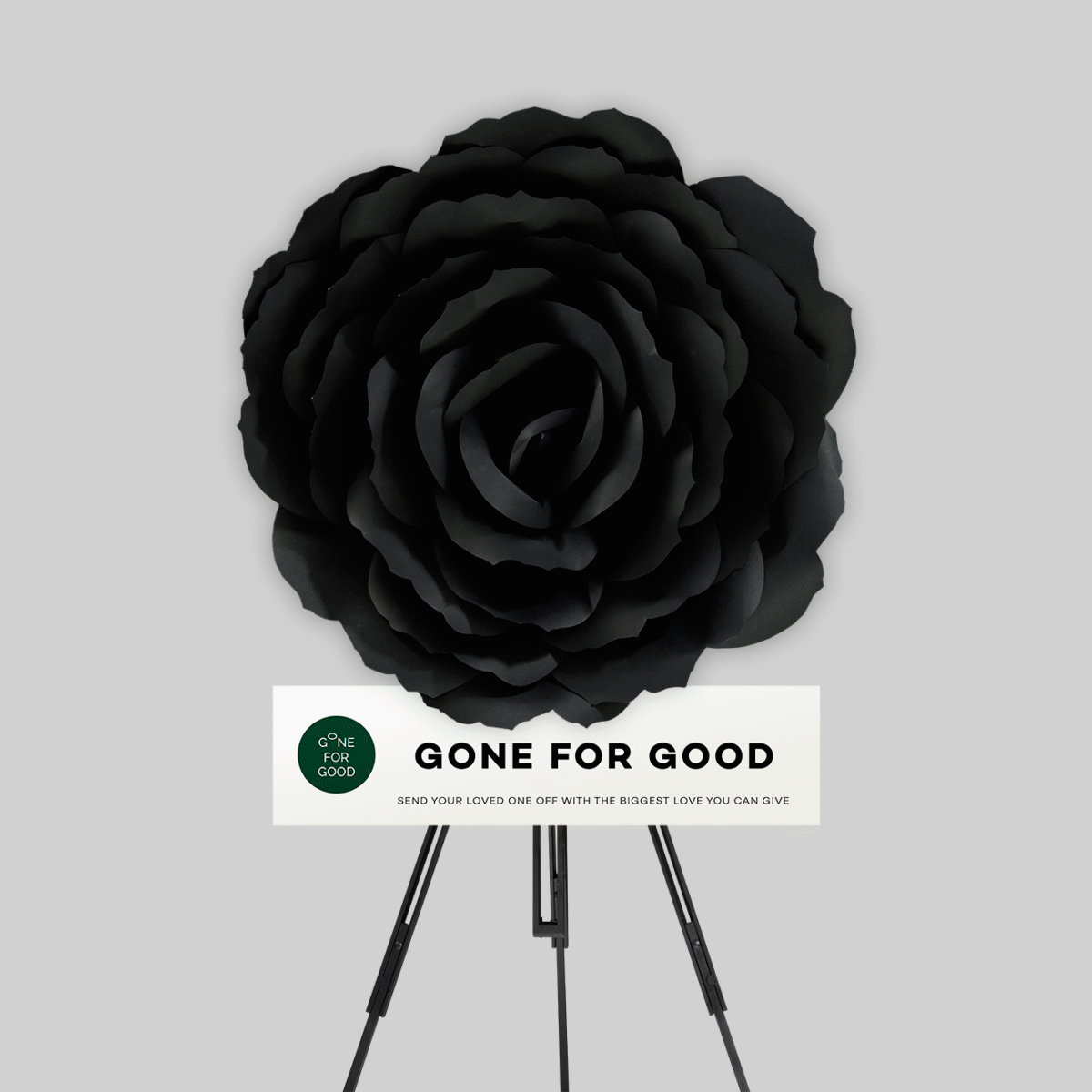Rose (Black) กุหลาบดำ