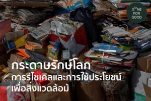 กระดาษรักษ์โลก- การรีไซเคิลและการใช้ประโยชน์เพื่อสิ่งแวดล้อม