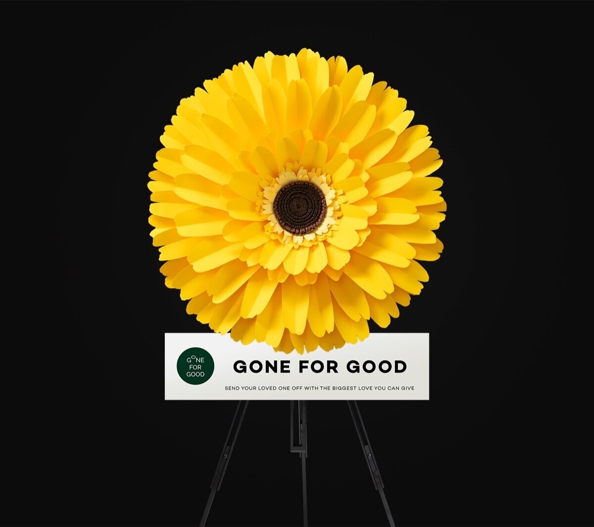 Gerbera (Yellow) เยอบีร่าเหลือง