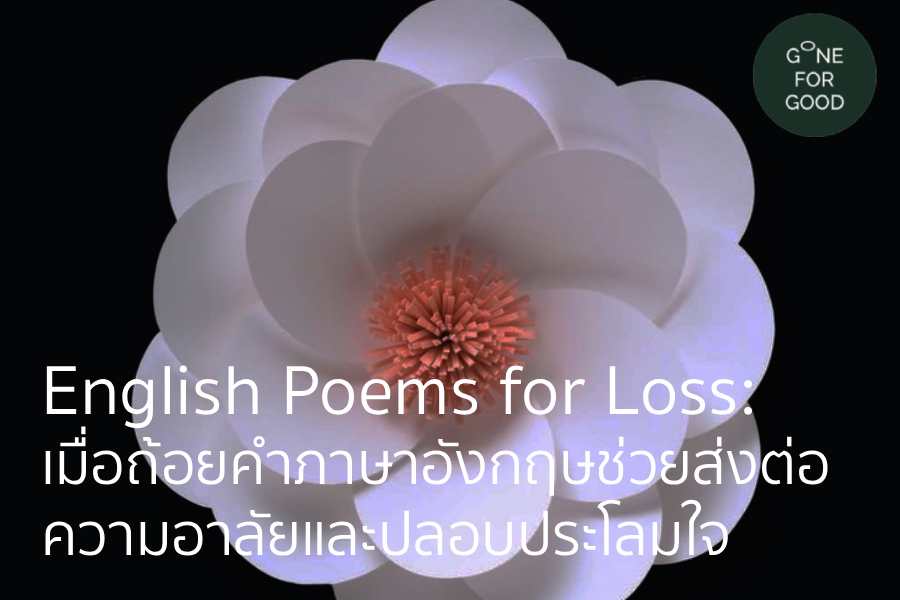 English Poems for Loss: เมื่อถ้อยคำภาษาอังกฤษช่วยส่งต่อความอาลัยและปลอบประโลมใจ